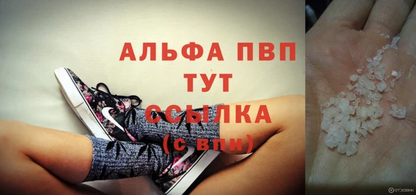 ГАЛЛЮЦИНОГЕННЫЕ ГРИБЫ Иннополис