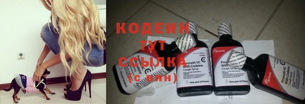 мескалин Инта