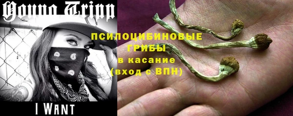 ешки Инсар