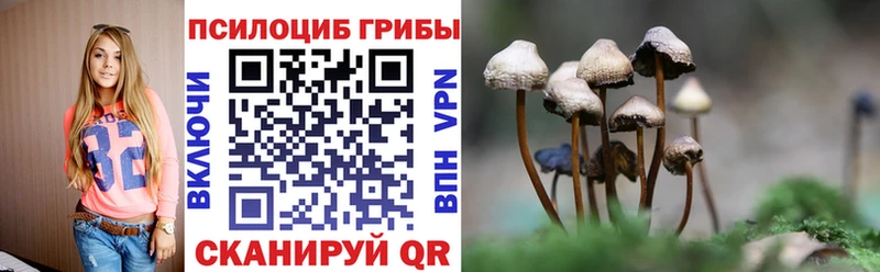 Купить  Почеп  Галлюциногенные грибы прущие грибы 